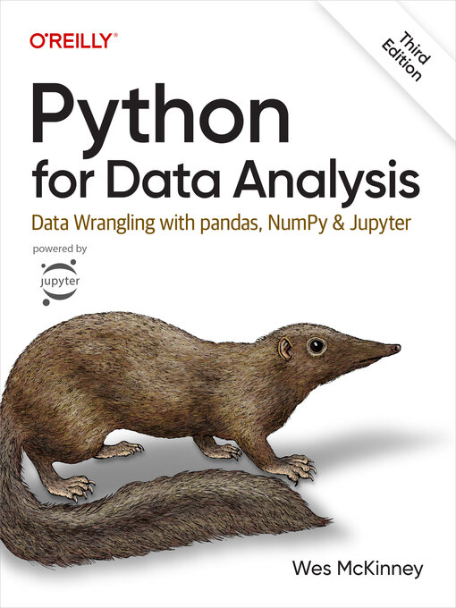 Title details for Python for Data Analysis by Wes McKinney - Wait list